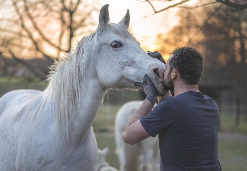 Découverte à pieds relation cheval/humain_Méjannes-le-Clap