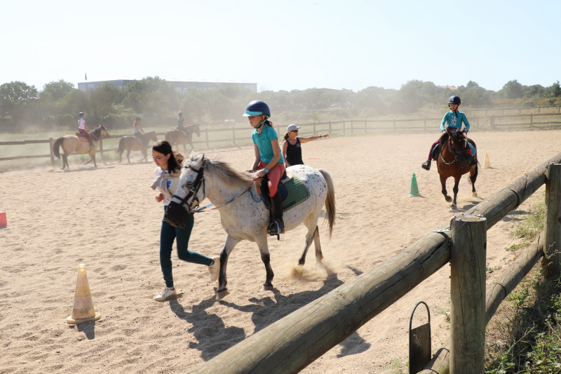 Découverte du cheval_Méjannes-le-Clap
