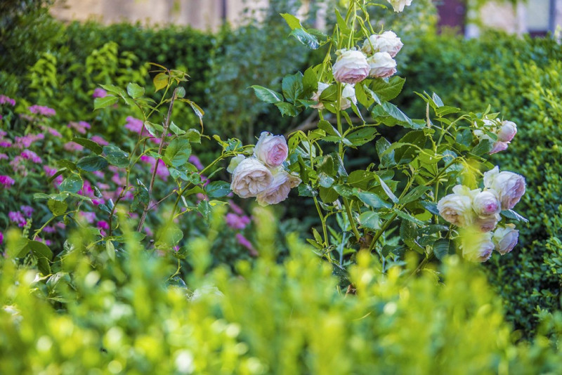 Balade insolite à la découverte de la nature_Méjannes-le-Clap