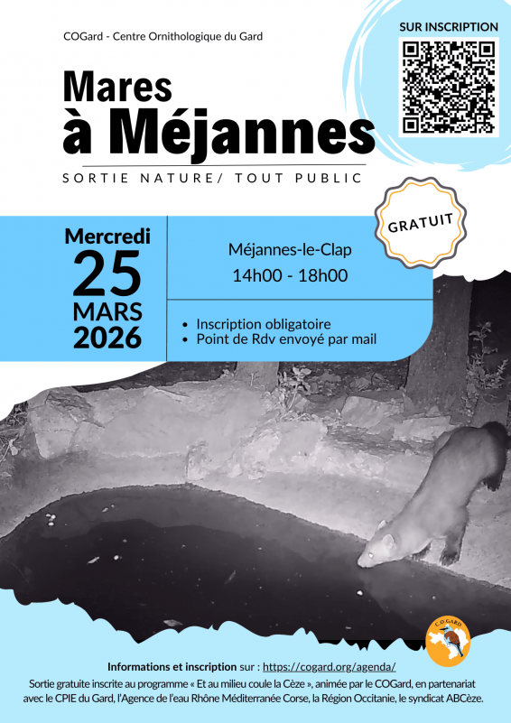 Mares à Méjannes_Méjannes-le-Clap - © centre ornithologique du gard Mares à Méjannes_Méjannes-le-Clap