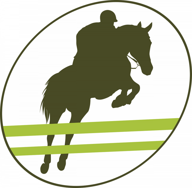 du_09_au_12_avril_stage_centre_equestre.png du_09_au_12_avril_stage_centre_equestre.png