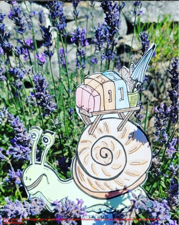 Atelier de dessin_Méjannes-le-Clap