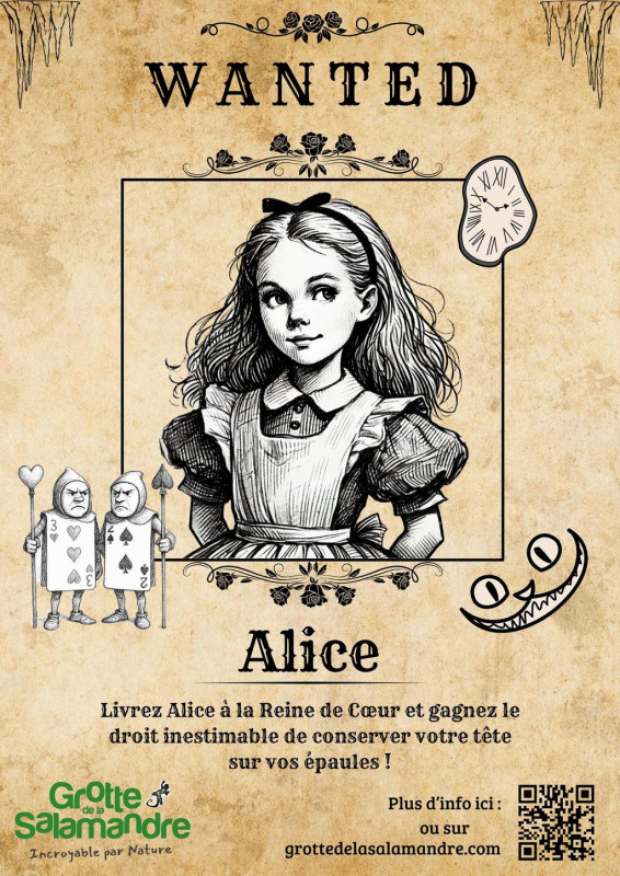 Escape game À la poursuite d'Alice_Méjannes-le-Clap
