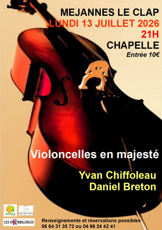 Violoncelles en majesté 13 juillet.jpg