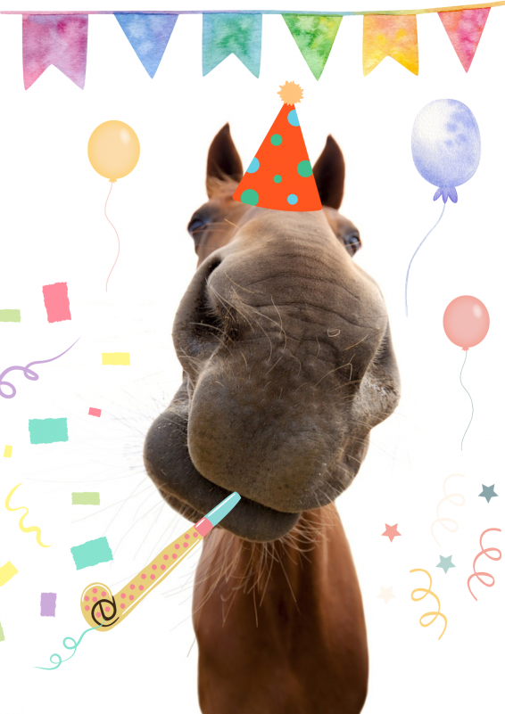 fete_centre_equestre.png fete_centre_equestre.png