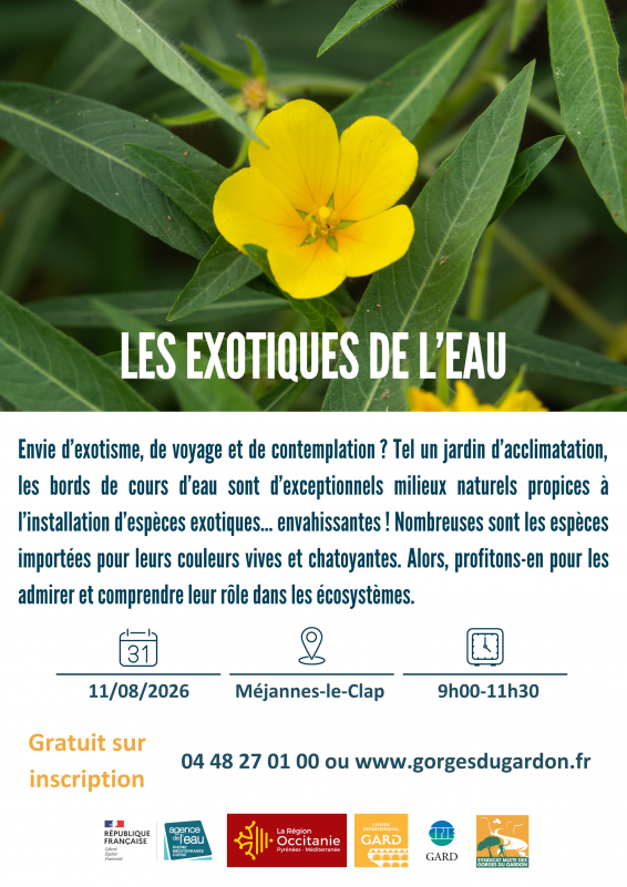 LES EXOTIQUES DE L'EAU 1108.png