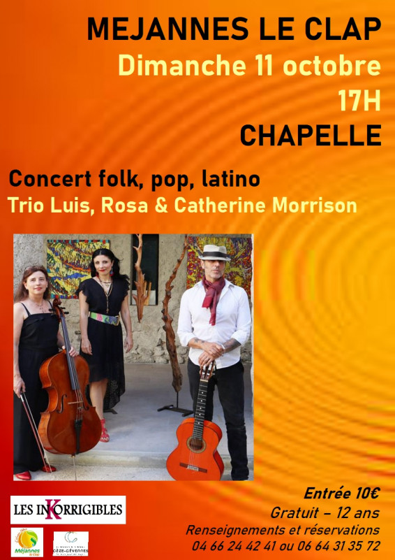 Affiche 11 octobre concert inko.jpg